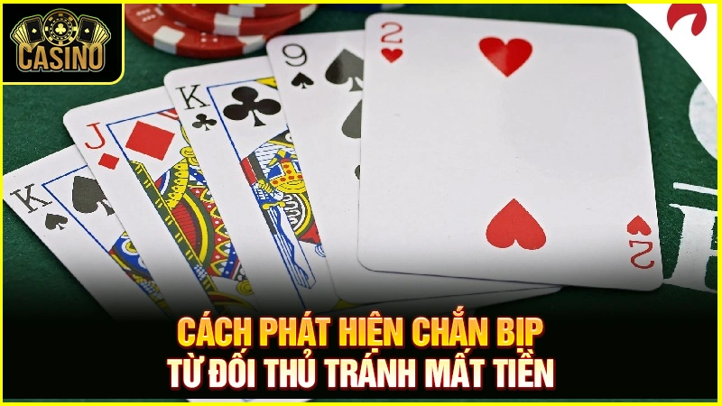 #8 cách đánh chắn bịp | Kỹ thuật, cách chia bài nhận diện chắn bịp 20 #8 cách đánh chắn bịp | Kỹ thuật, cách chia bài nhận diện chắn bịp 19
