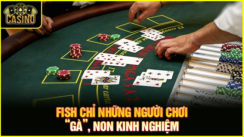 Fish trong Poker là gì? Cách nhận diện, làm gì khi gặp Fish? 21
