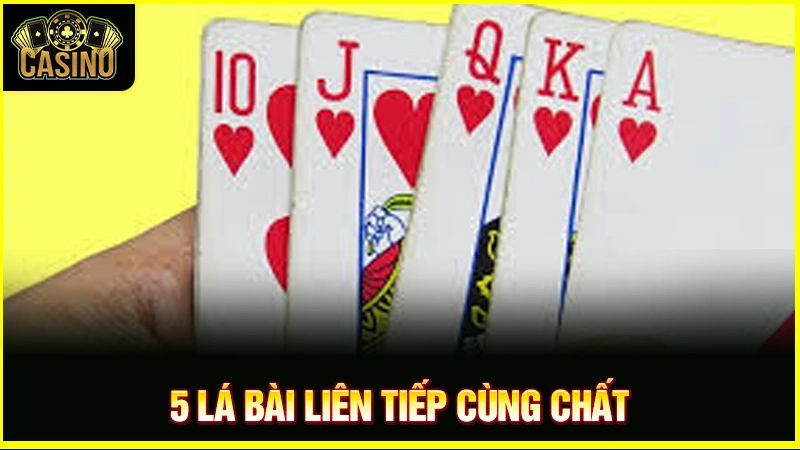 Thùng phá sảnh là gì? Luật & cách đánh thế nào dễ thắng? 18 Thùng phá sảnh là gì? Luật & cách đánh thế nào dễ thắng? 17