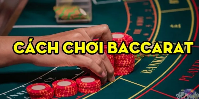 Cách chơi baccarat luôn thắng, toàn bí kíp đánh hiệu quả 14